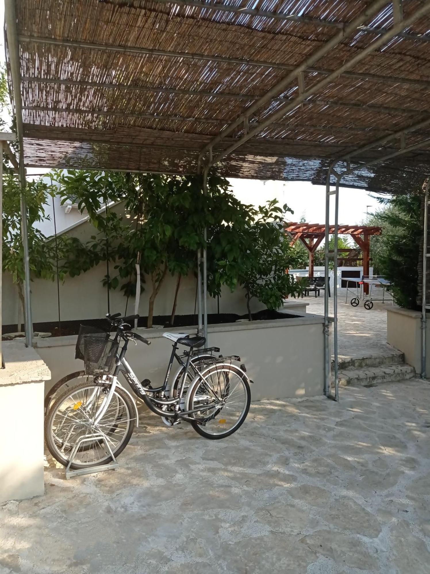 Villa Niko With Private Swimming Pool زادار المظهر الخارجي الصورة