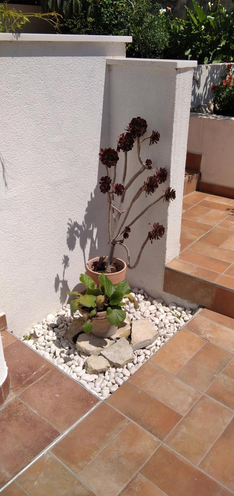 Villa Niko With Private Swimming Pool زادار المظهر الخارجي الصورة